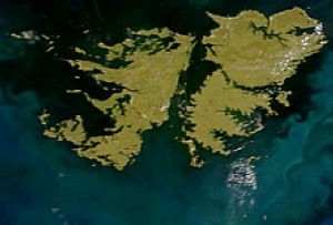 Satellite_image_of_Falkland_Islands_in_November_1999