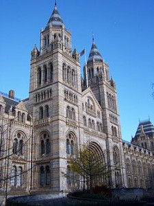 250px-Natural_History_Museum_001