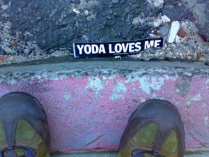 Yoda_loves_me