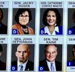 These 8 Senators Broke with Democrats on the Government Shutdown Deal by Stephen Groves