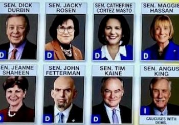 These 8 Senators Broke with Democrats on the Government Shutdown Deal by Stephen Groves