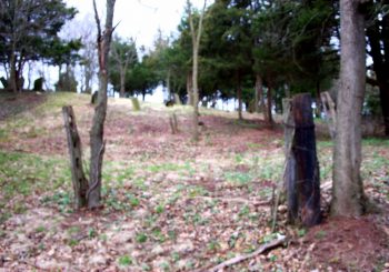 The South Middllebush Graveyard by Jacob Wyckoff, Middlebush, N. J.
