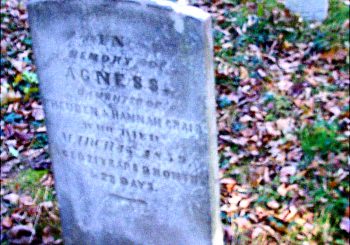 Tomstone Transcriptions, Lamington Black Cemetery