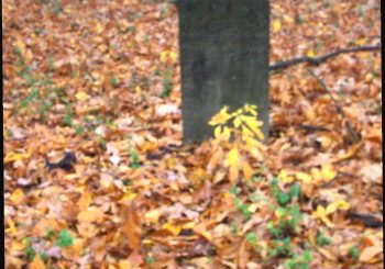 Jericho Cemetery, Deptford Township, Gloucester County, NJ
