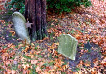 Timbuctoo Cemetery, Westhampton, NJ (1820)