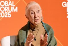 What Jane Goodall said in her last video message before her death by Angeline Jane Bernabe