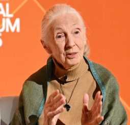 What Jane Goodall said in her last video message before her death by Angeline Jane Bernabe