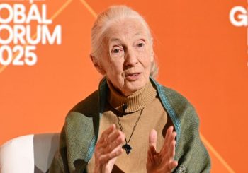What Jane Goodall said in her last video message before her death by Angeline Jane Bernabe