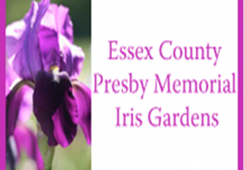 Presby Memorial Iris Gardens, NJ